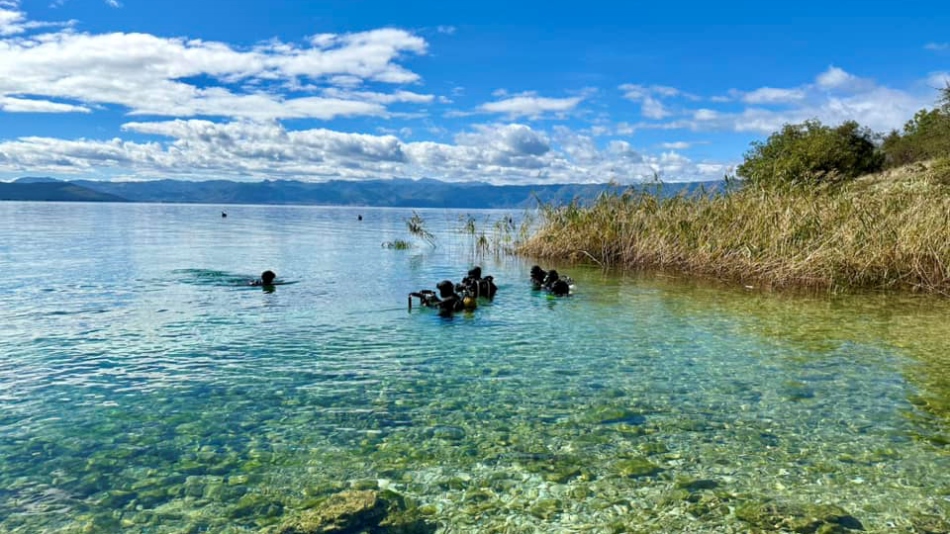 News from Ohrid, Vesti od Ohrid, Ohrid news. Вести од Охрид, Новости Охрид, Информации од Охрид 24 часа - Брзо, точно, проверено...