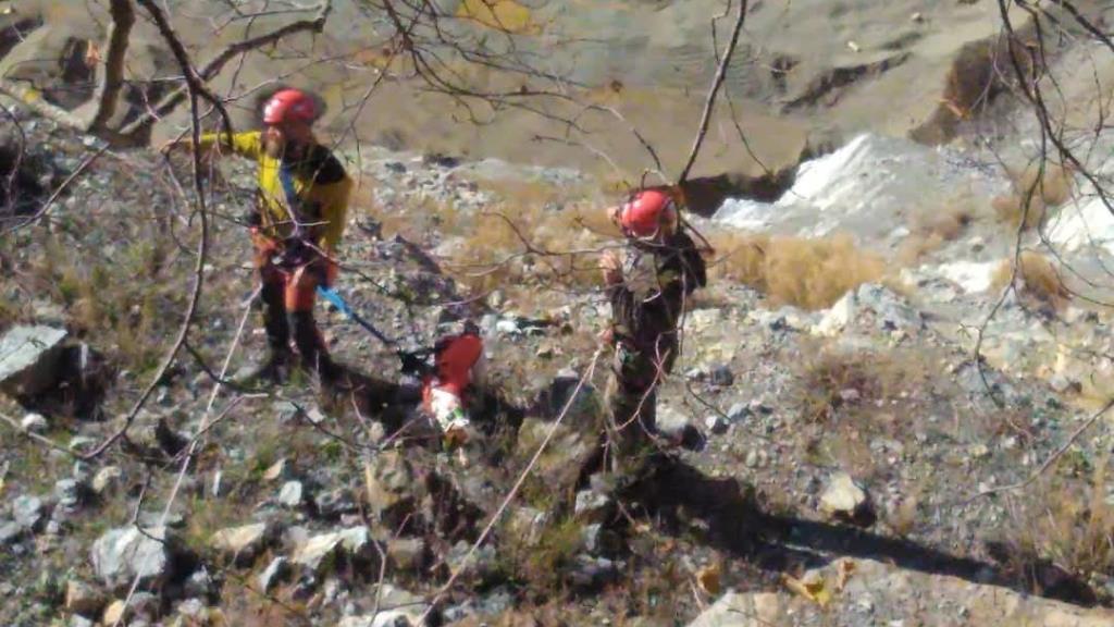 Планинската спасителна служба извлече изгубено ловечко куче од каменоломот во селото Речица