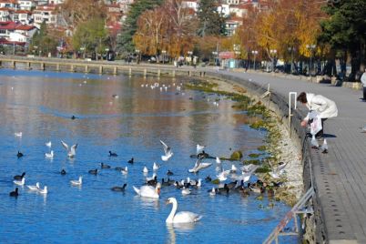 ohrid-lebedi-sonce-noemvri.jpg